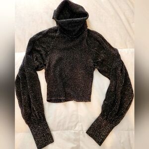 Sparkly Metallic Turtleneck Top